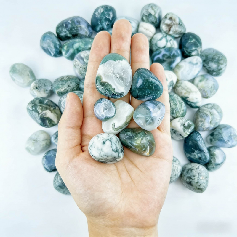 Natural Moss Agate Crushed Sto - Echeveria Succulent 리뷰 및 가격