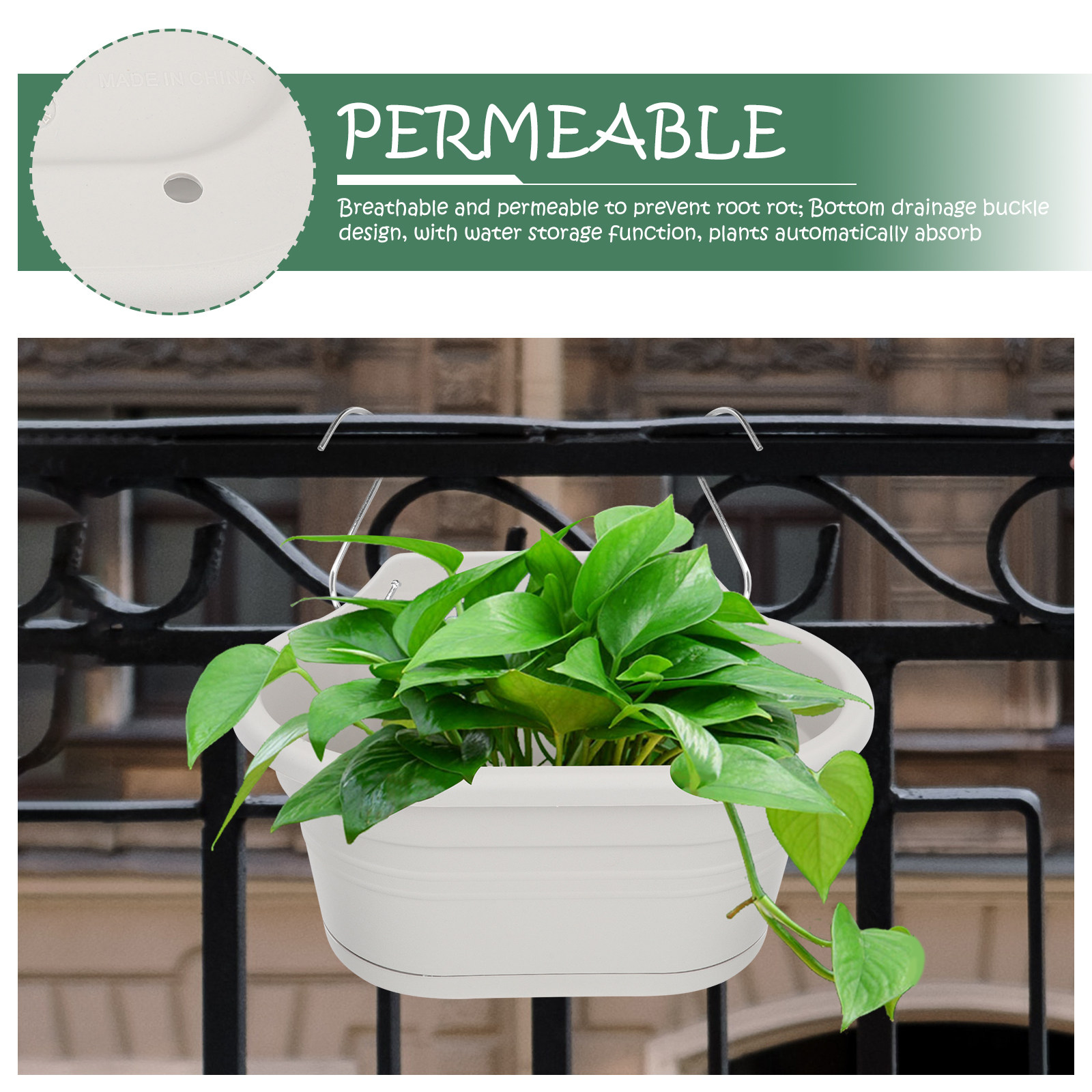 1Set Wall Hanging Flower Pot S - Spider Plant Hanging 리뷰 및 가격