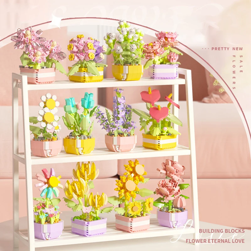 Flower Succulents Building Blo - Echeveria Succulent 리뷰 및 가격