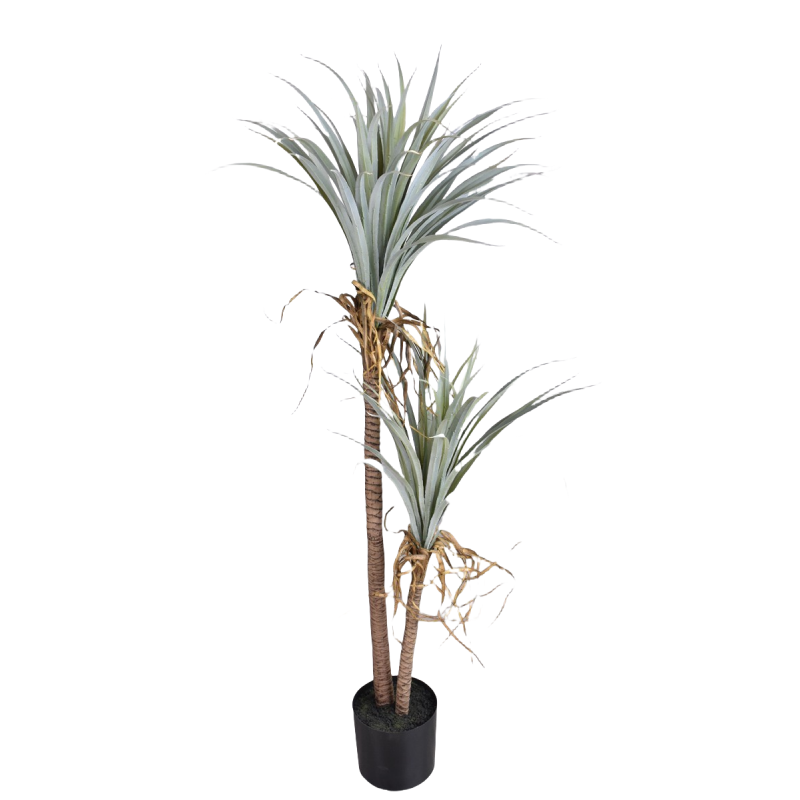 Dragon Blood Yucca Artificial  - Dracaena Marginata 리뷰 및 가격