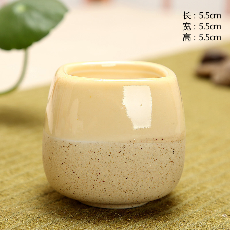 Mini Jelly Shape Cartoon Ceram - Echeveria Succulent 리뷰 및 가격