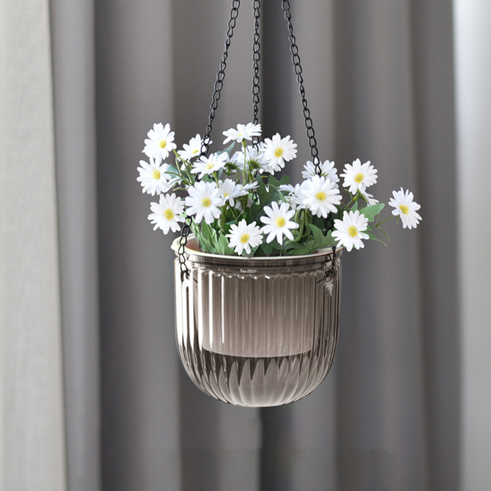 Automatic Self Watering Plant  - Spider Plant Hanging 리뷰 및 가격