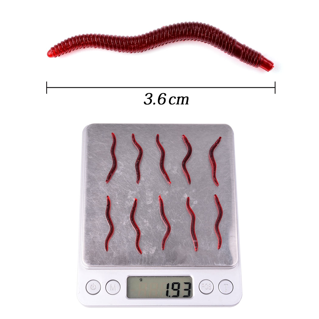 50pcs Lifelike Red Worm Soft L - Aglaonema Red 리뷰 및 가격