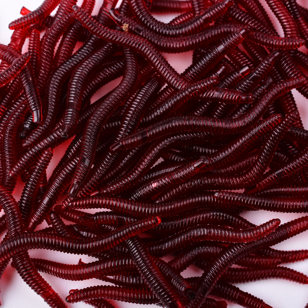 50pcs Lifelike Red Worm Soft L - Aglaonema Red 리뷰 및 가격