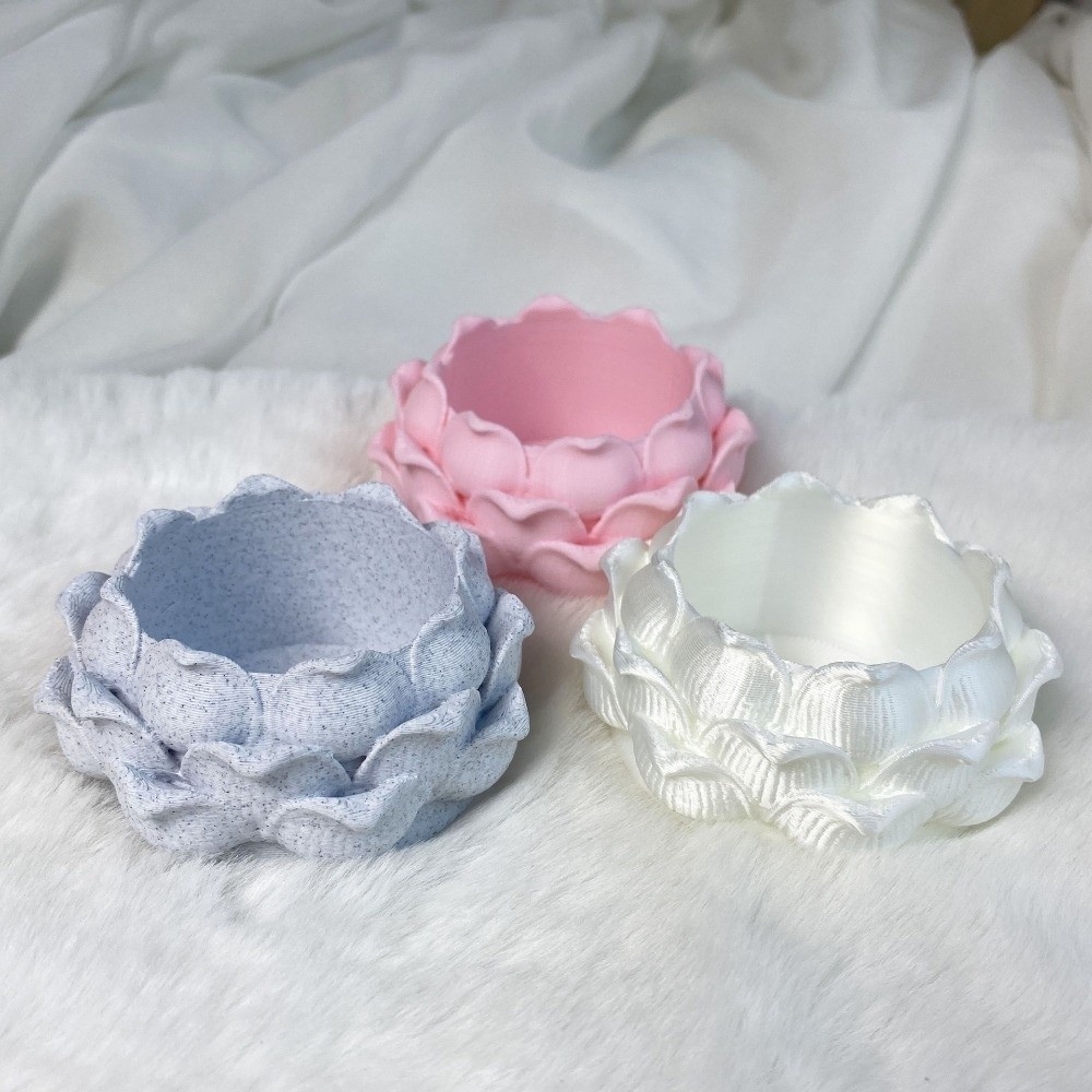 Lotus Shaped Succulent Plant P - Echeveria Succulent 리뷰 및 가격