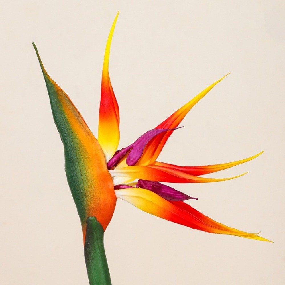 New Long Stem Artificial Bird  - Bird Paradise Strelitzia 리뷰 및 가격