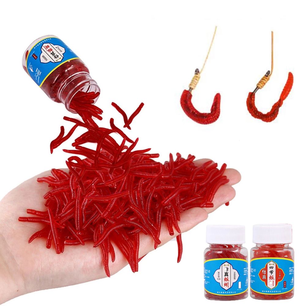 100pcs/Bottle Realistic Tackle - Aglaonema Red 리뷰 및 가격