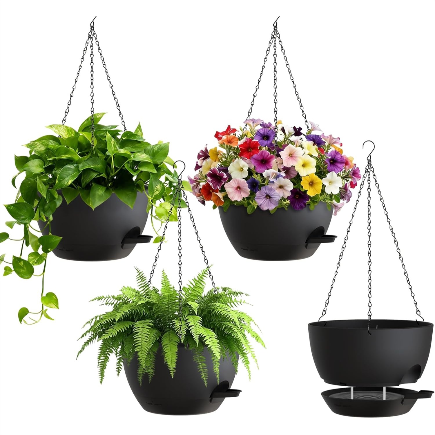 8 Inch Self Watering Hanging P - Spider Plant Hanging 리뷰 및 가격