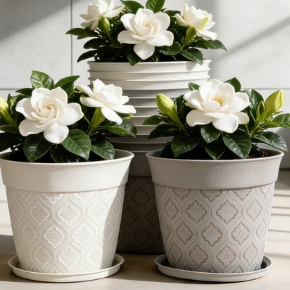 8in Flower Pot With Drainage H - Echeveria Succulent 리뷰 및 가격