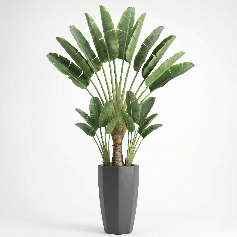 High-Simulation Plastic Fiddle - Ficus Lyrata Tree 리뷰 및 가격