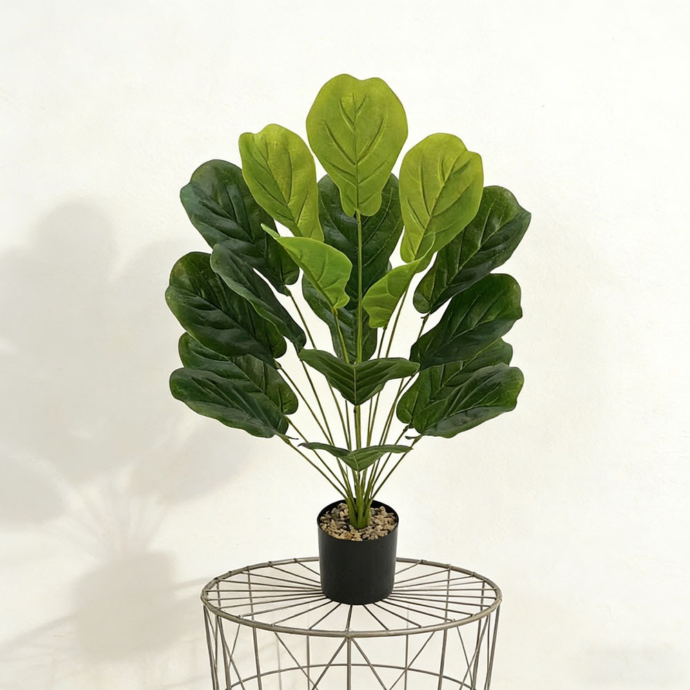 1pc of 75cm Artificial Ficus L - Ficus Lyrata Tree 리뷰 및 가격