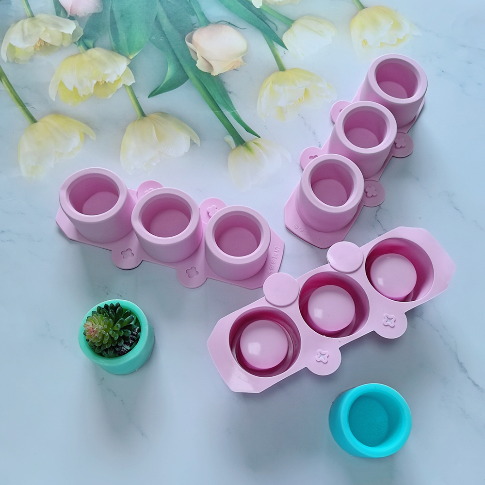 Silicone Mold for Succulent Pl - Echeveria Succulent 리뷰 및 가격