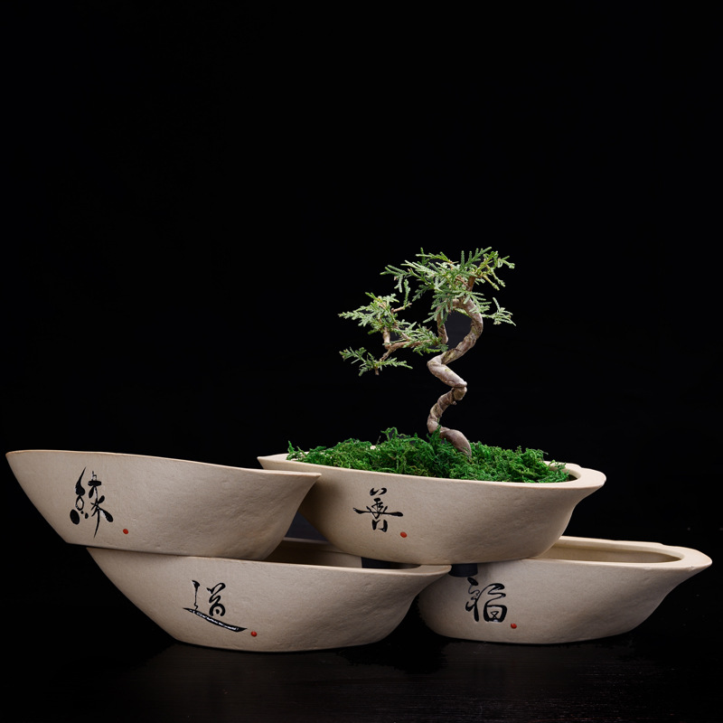 Vintage Stoneware Fleshy Flowe - Pilea Peperomioides 리뷰 및 가격
