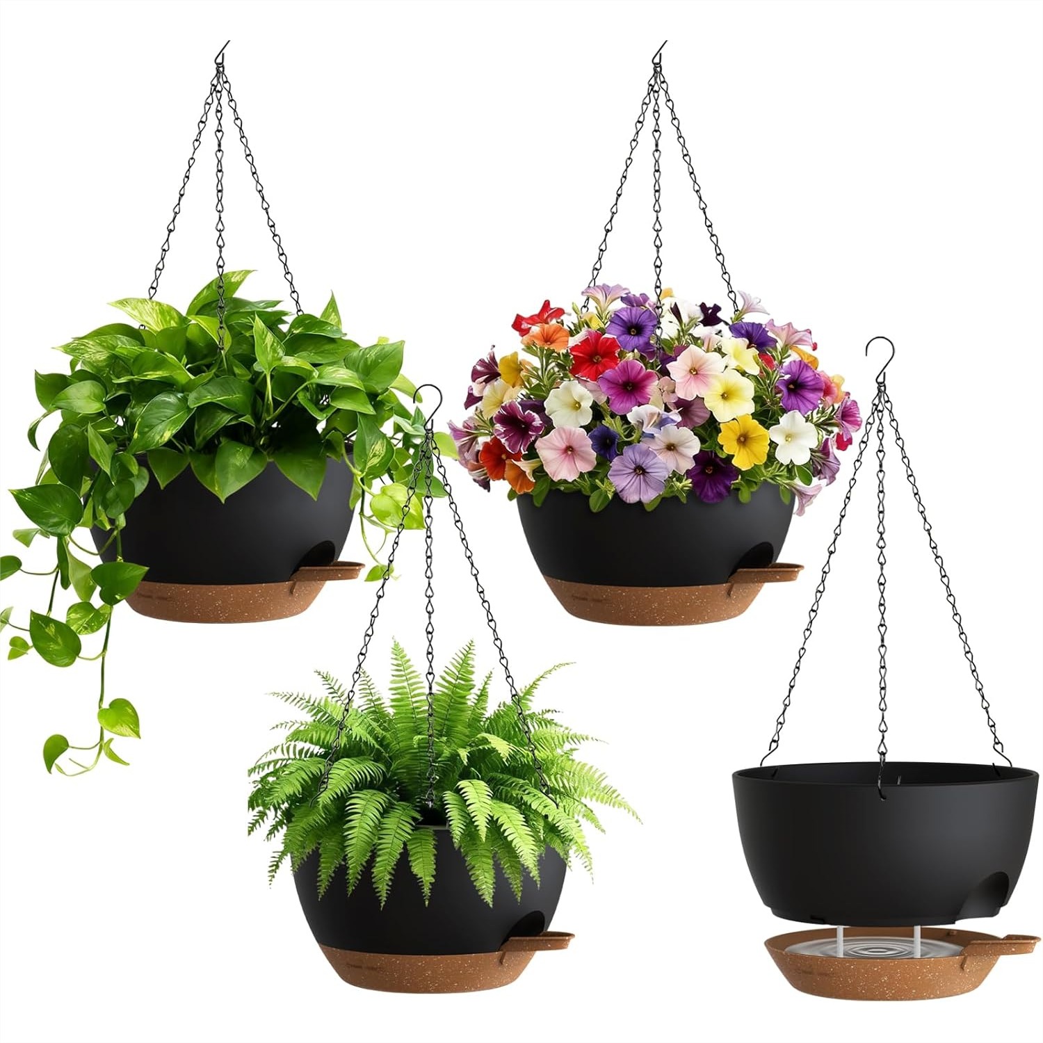 Self Watering Hanging Planters - Spider Plant Hanging 리뷰 및 가격