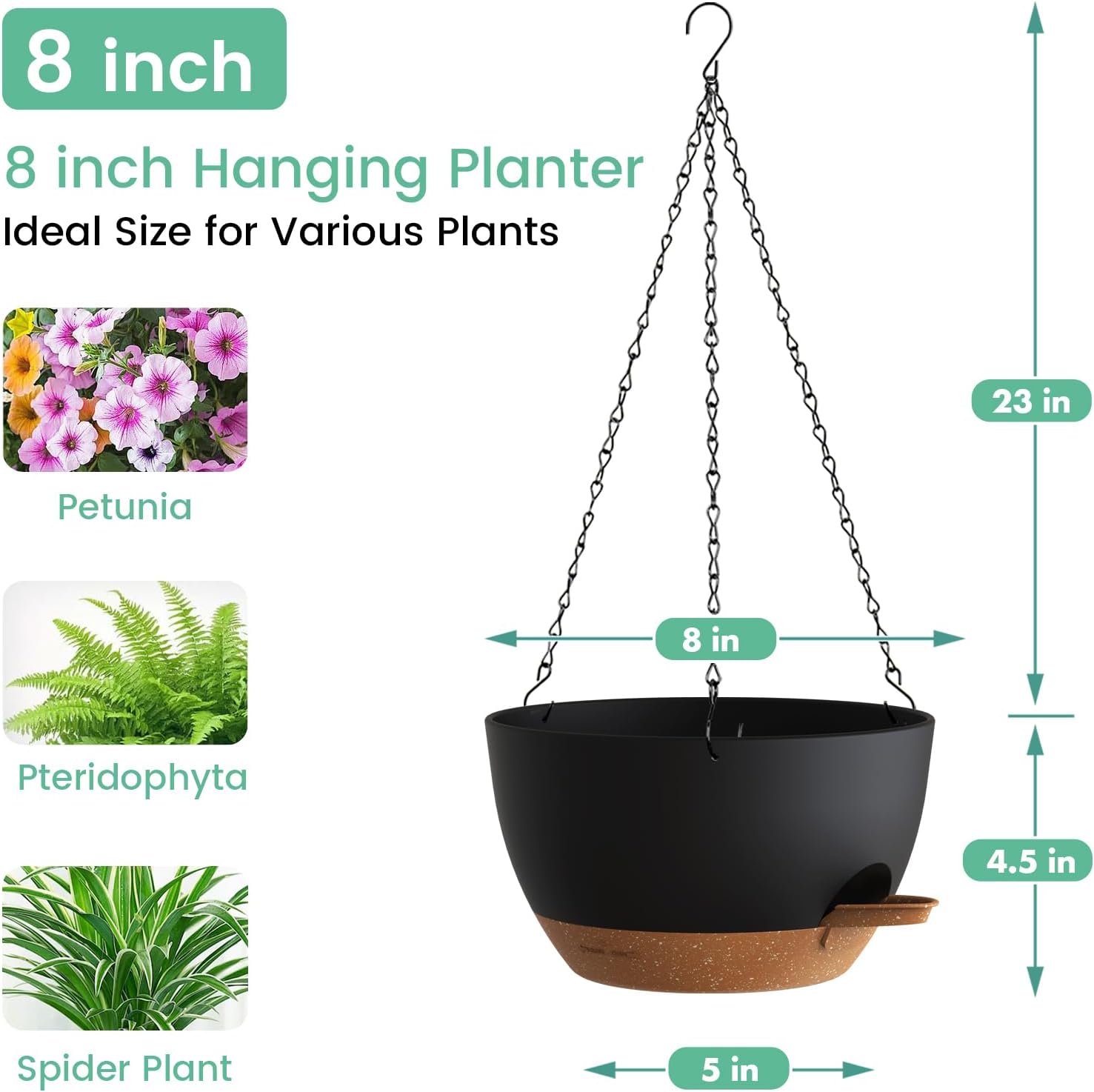 Self Watering Hanging Planters - Spider Plant Hanging 리뷰 및 가격