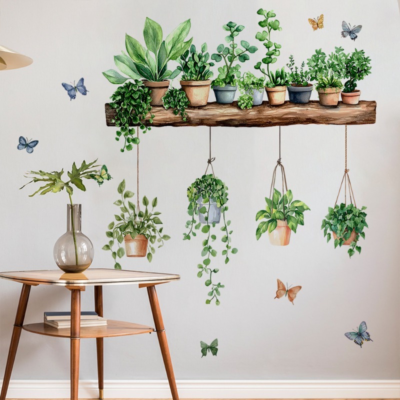3D Potted Green Plant Shelf Wa - Echeveria Succulent 리뷰 및 가격