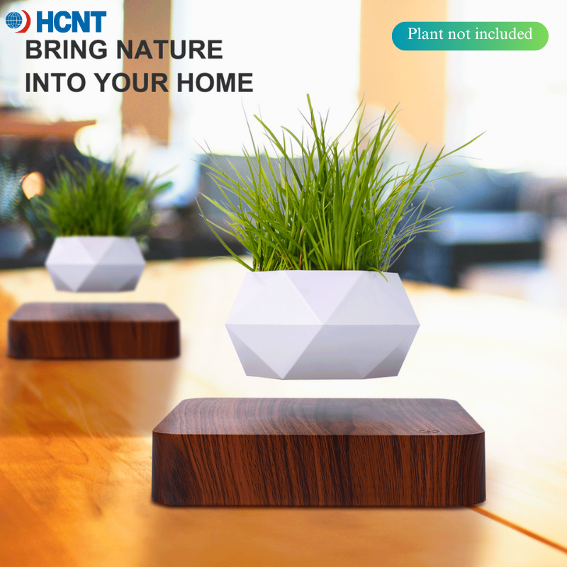 Floating Plant Pot Magnetic Le - Echeveria Succulent 리뷰 및 가격