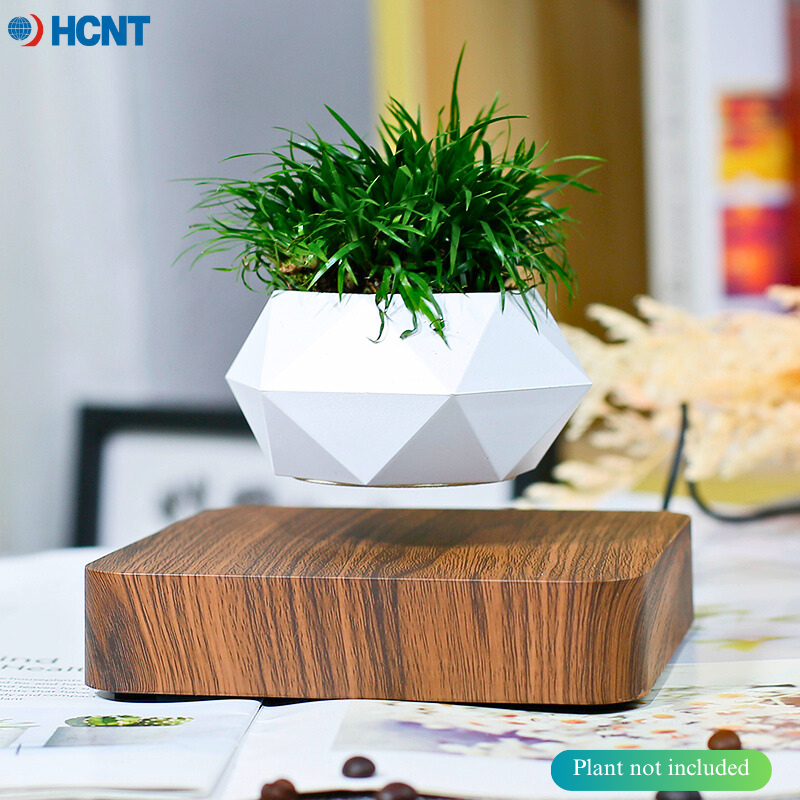 Floating Plant Pot Magnetic Le - Echeveria Succulent 리뷰 및 가격