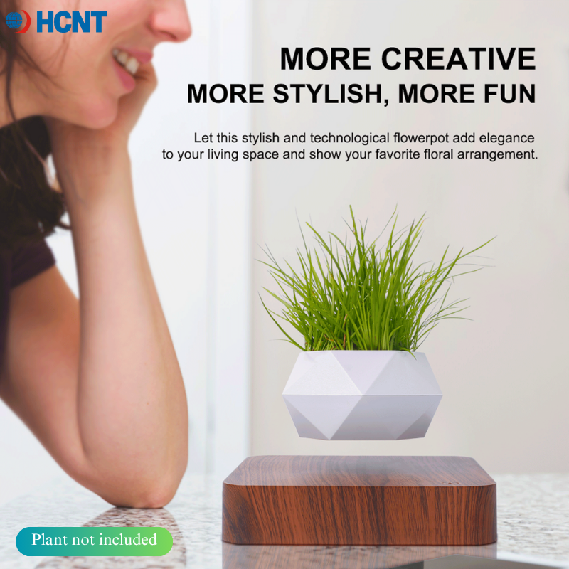 Floating Plant Pot Magnetic Le - Echeveria Succulent 리뷰 및 가격