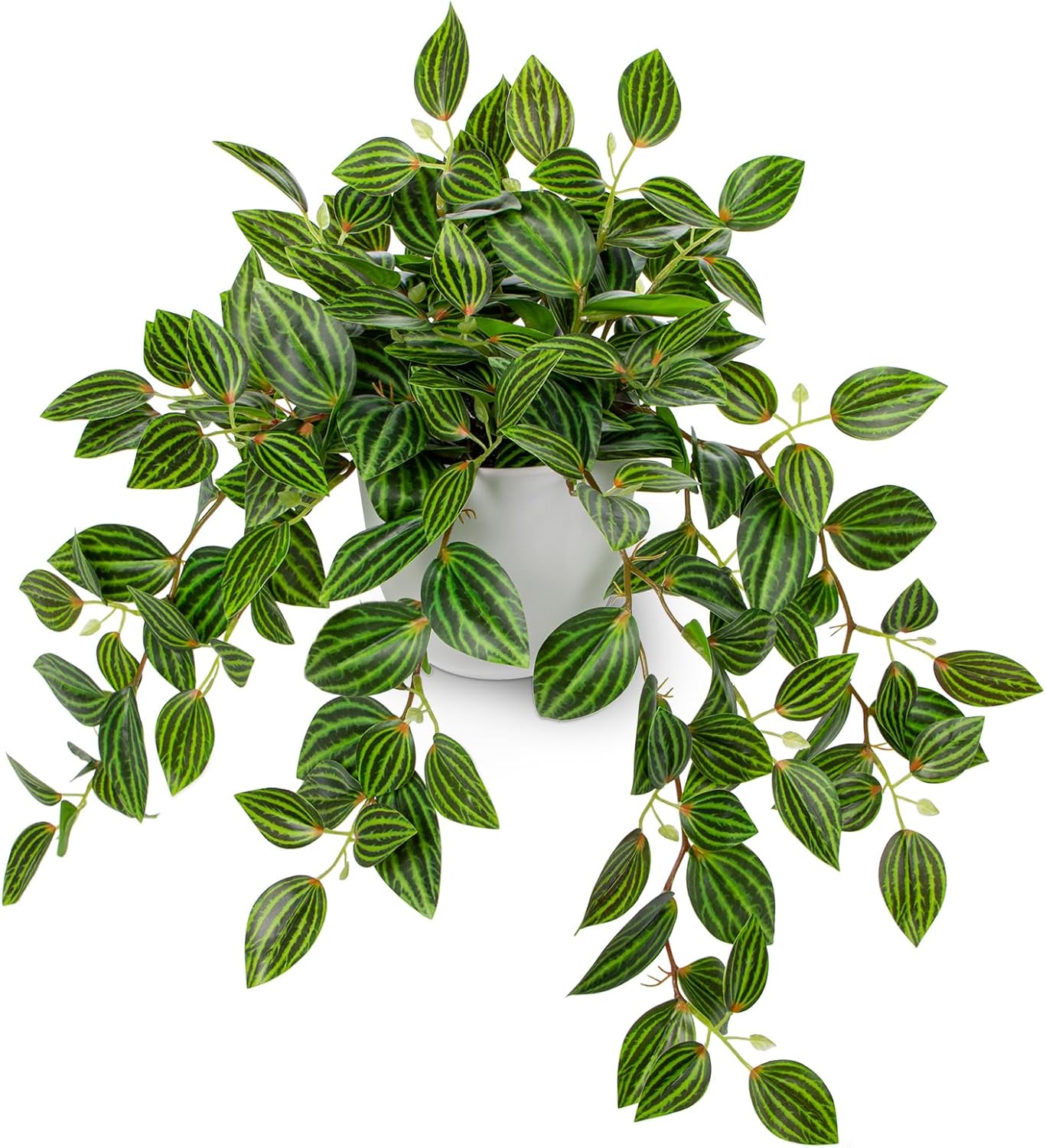 Artificial Plants Indoor Fake  - Peperomia Watermelon 리뷰 및 가격