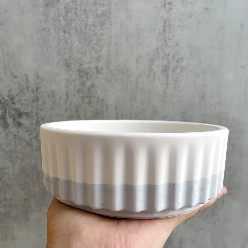 Stripe Flowerpot Silicone Mold - Echeveria Succulent 리뷰 및 가격