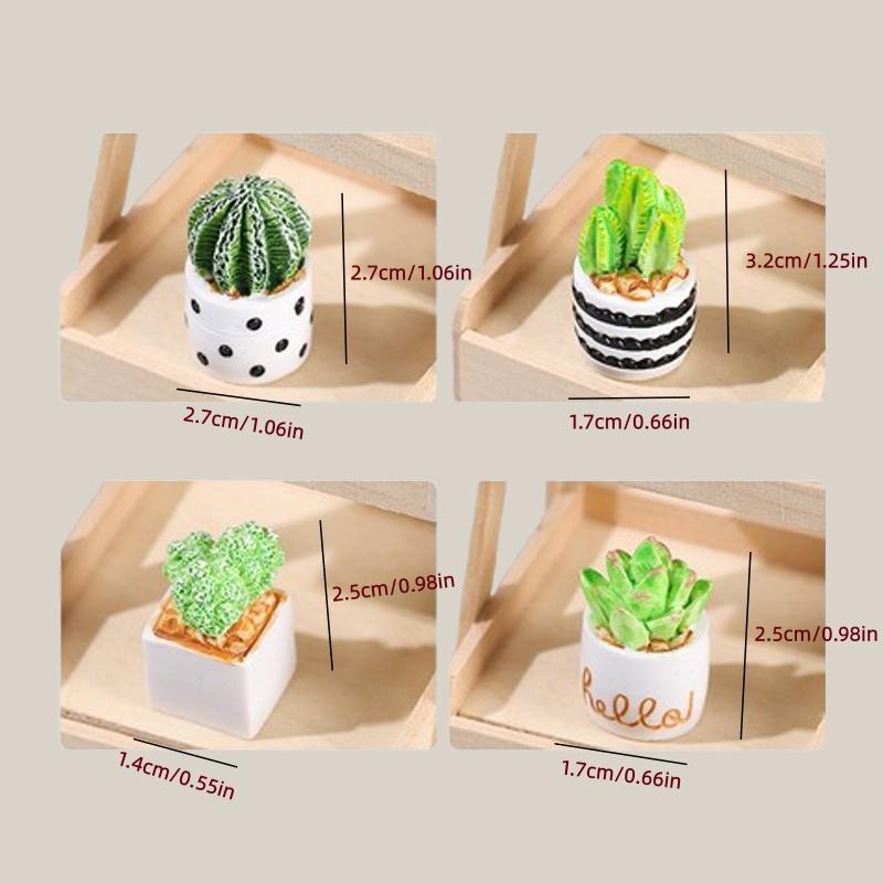 4-Piece Set of Cactus Succulen - Echeveria Succulent 리뷰 및 가격