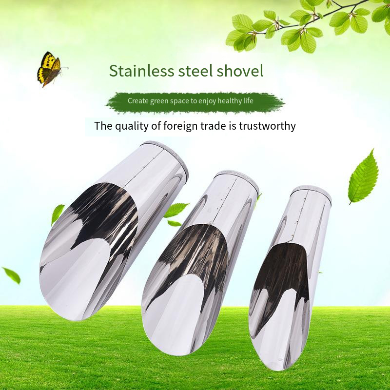 Stainless Steel Bucket Shovel  - Echeveria Succulent 리뷰 및 가격