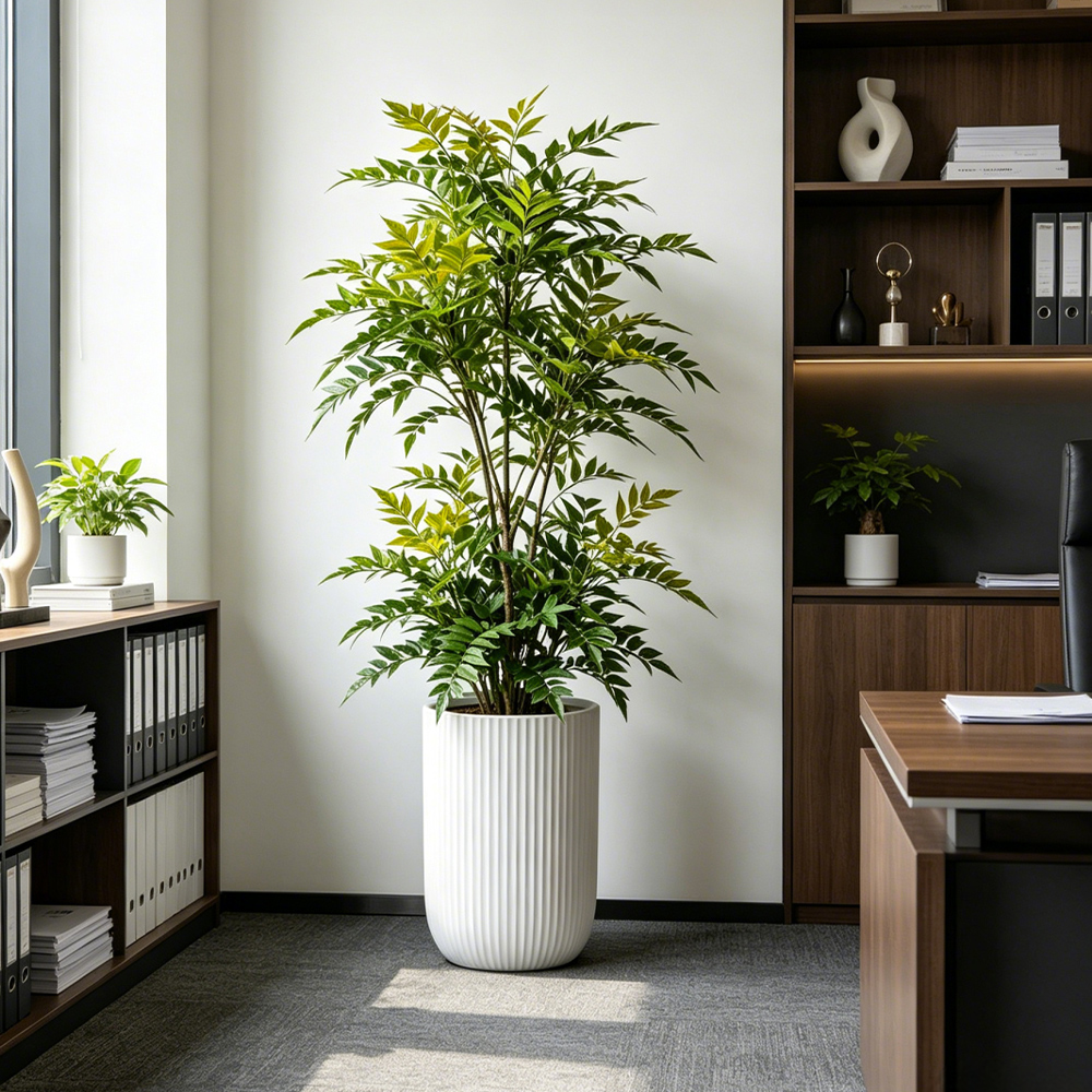 73-135cm Artificial Nandina Pl - Dracaena Marginata 리뷰 및 가격