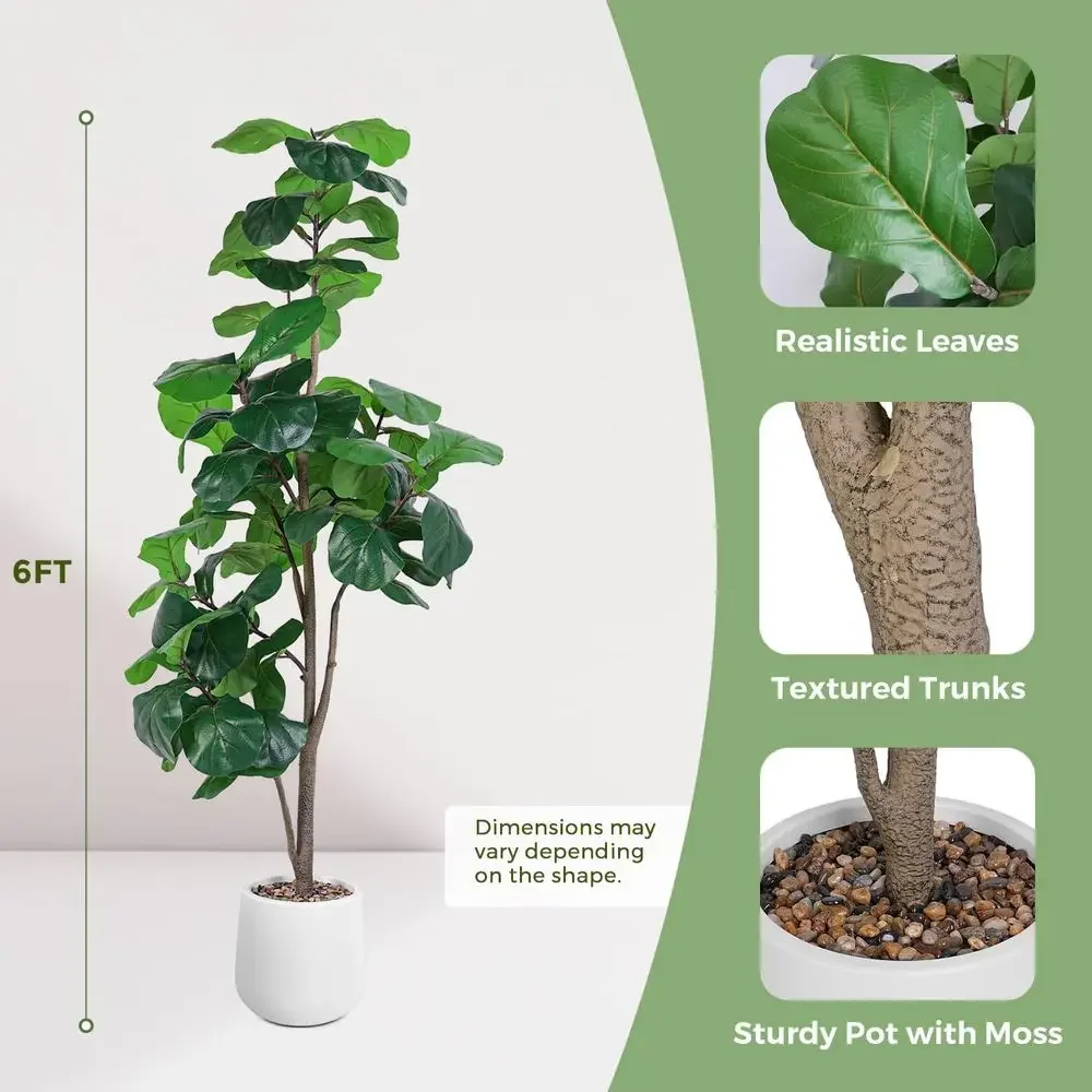 Artificial Large Ficus Lyrata  - Ficus Lyrata Tree 리뷰 및 가격