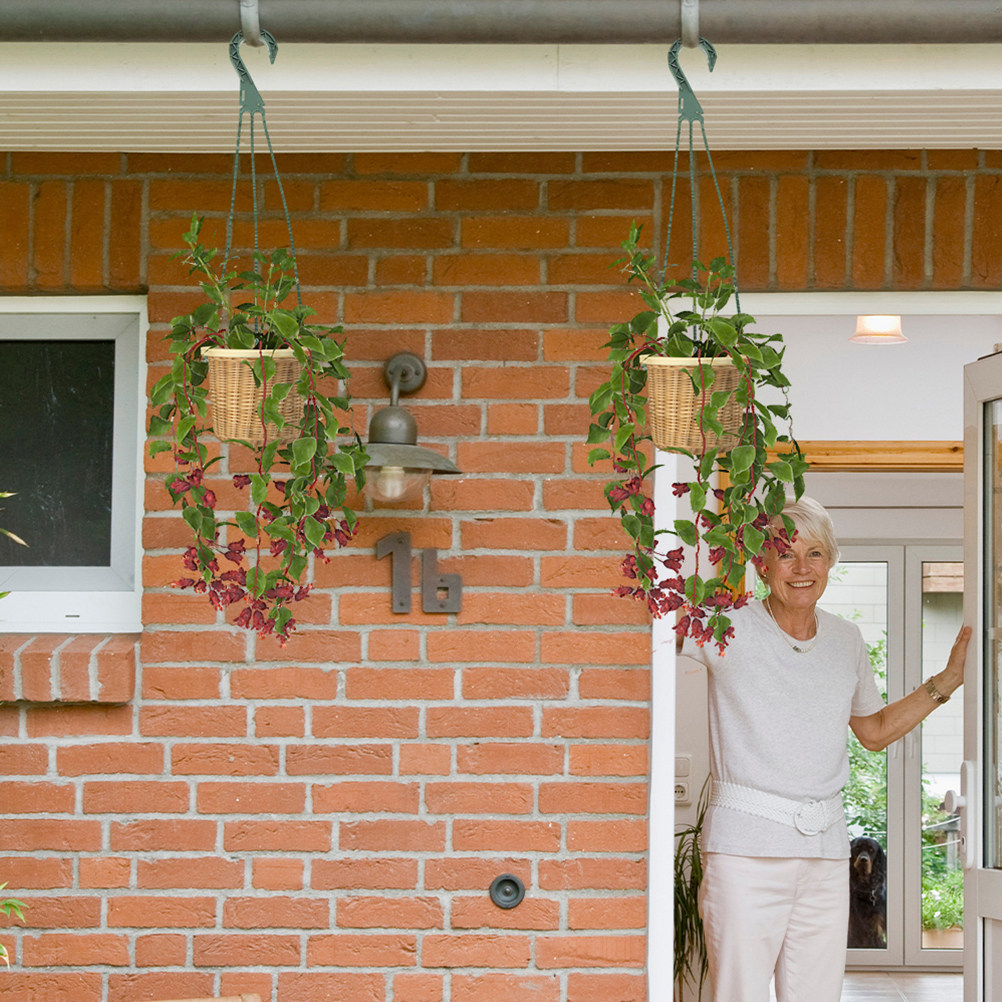 5Pcs Hanging Planter Hooks Ver - Spider Plant Hanging 리뷰 및 가격